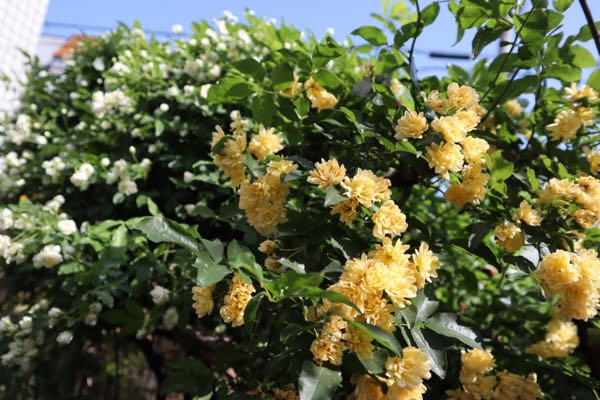 rblog-20180425081837-02.jpg