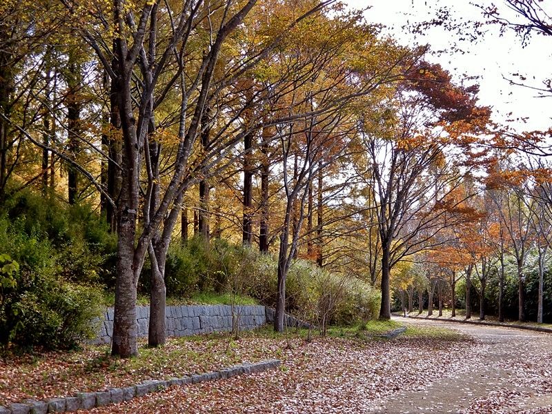 外周路2
