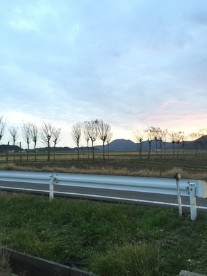 20151123岩室夏井のはざ木02