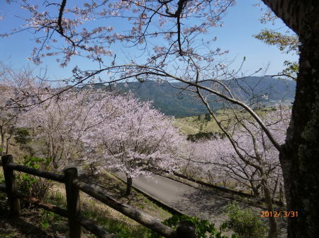 花立公園