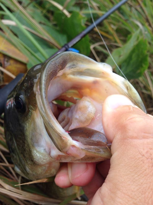 rblog-20141106122643-01.jpg