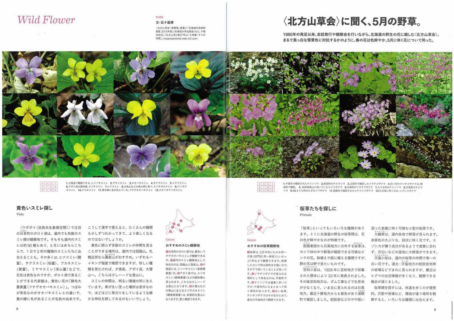 Airdo機内誌 Rapora ラポラ ５月号は北の花畑 北海道庁のブログ 超 旬ほっかいどう 楽天ブログ