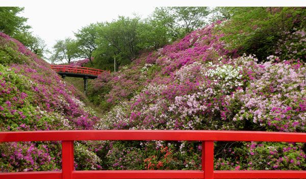 泉南の淡輪遊園 あたご山公園 と ぐる り 京のお散歩 楽天ブログ