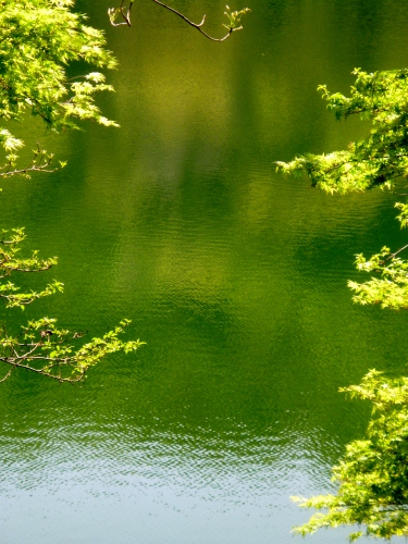 107 (375x500).jpg