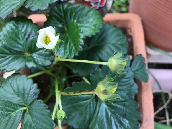 rblog-20170329182426-01.jpg