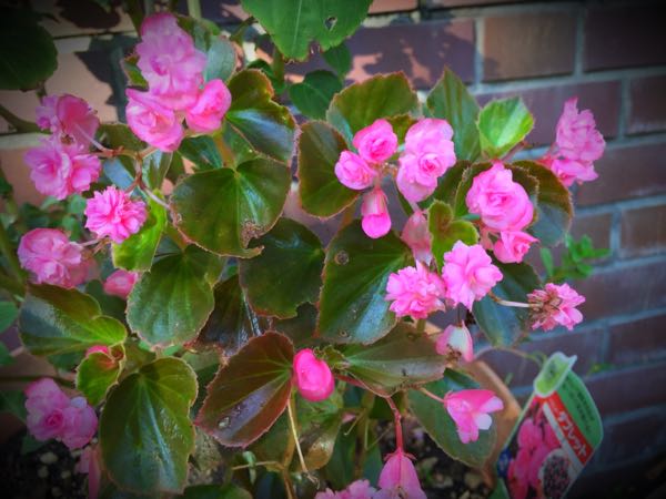 rblog-20160825165128-08.jpg
