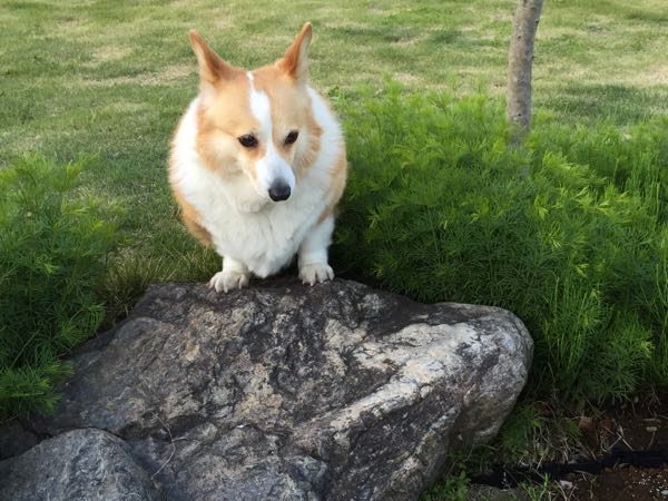 rblog-20160505213628-03.jpg
