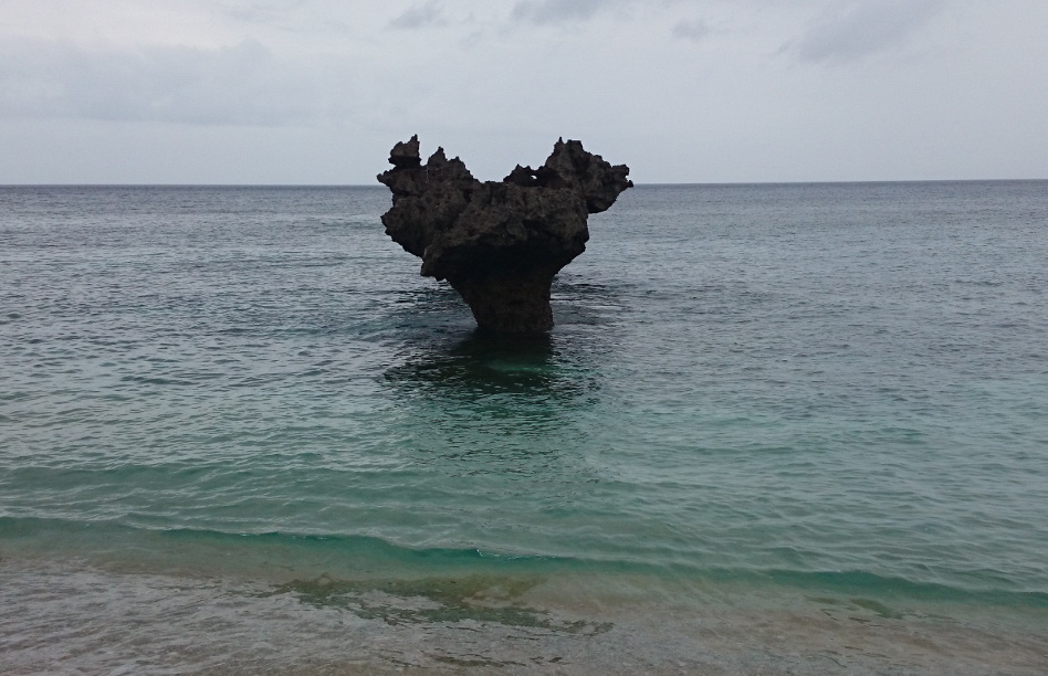 DSC_0340.JPG