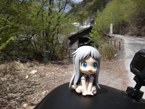 DSC05391.JPG
