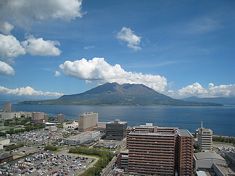 IMG_7349.jpg
