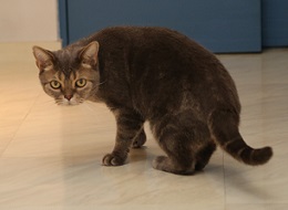 5DA_4981-23.jpg