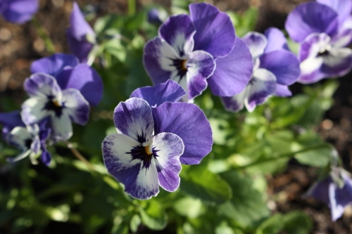 20160331002.JPG
