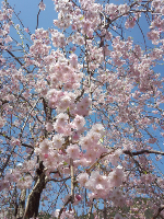 rblog-20130405222840-01.png