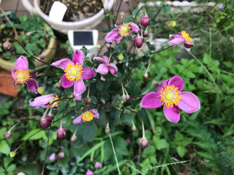 rblog-20180928162019-06.jpg