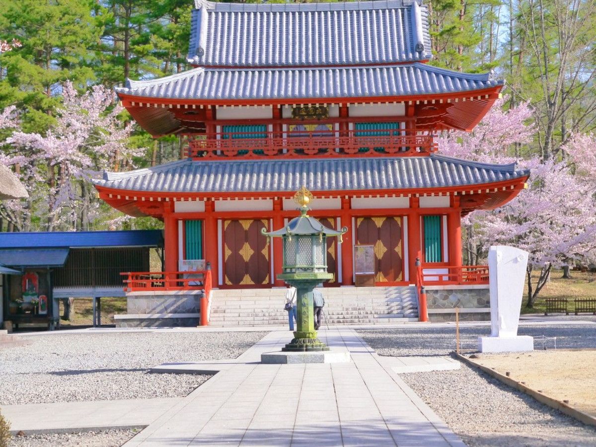蓼科山聖光寺 桜まつり | 創業大正十五年 蓼科 親湯温泉 楽天ブログ＆新着情報 - 楽天ブログ