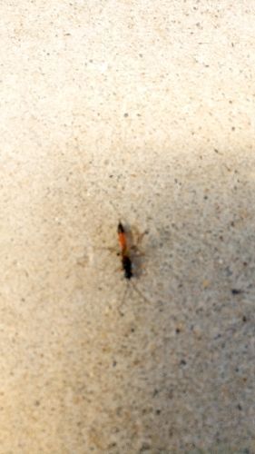 rblog-20180419150800-03.jpg