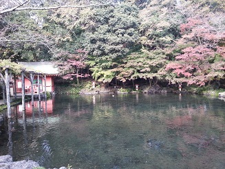 池の紅葉