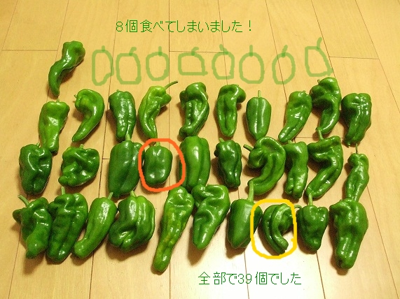 ピーマンの数.JPG