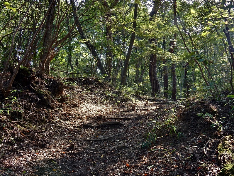 洞川湖3.JPG