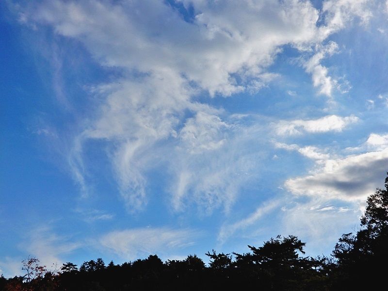 空2