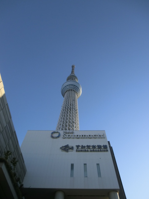 ｽｶｲﾂﾘｰ初日の出 (155).JPG