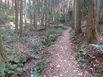 DSCN6293s.jpg