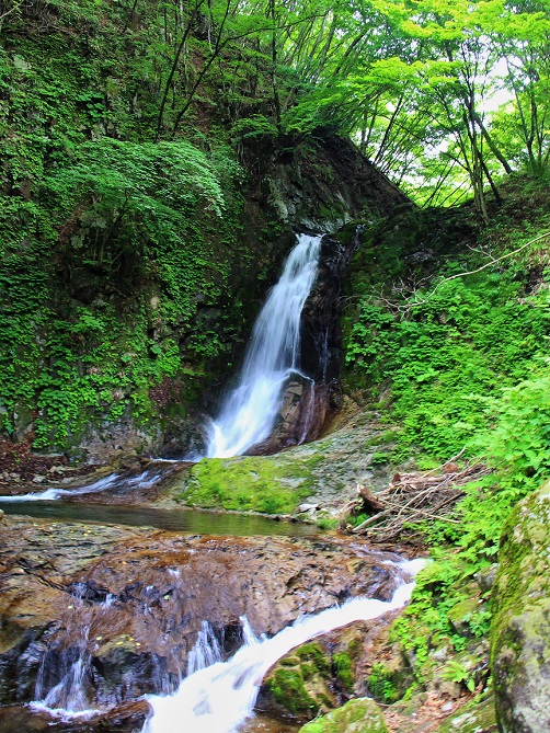 2.霧降川右岸の沢筋.JPG