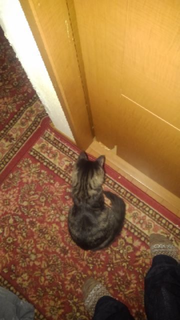 rblog-20181008064824-01.jpg
