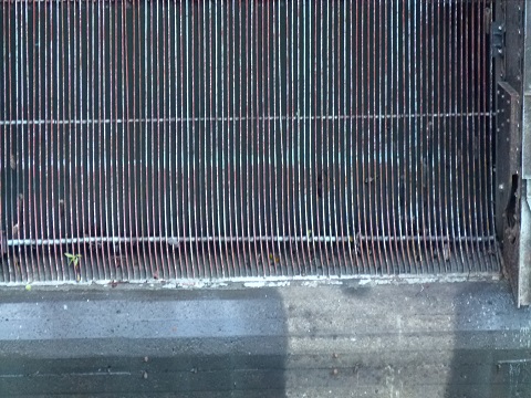 P1110243.JPG