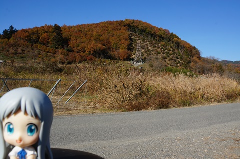 DSC07543.JPG