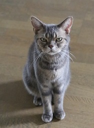 5DA_7123-24.jpg