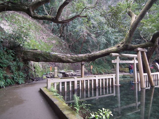 DSCF2191.JPG