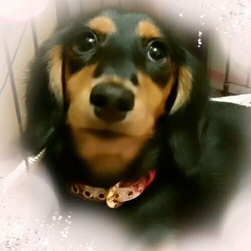 rblog-20170114104318-01.jpg