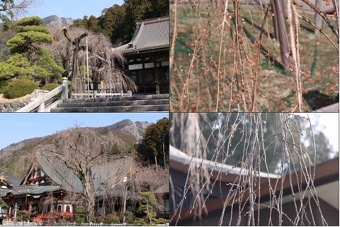 状況1.jpg