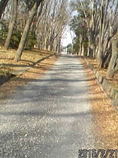 本丸へ３