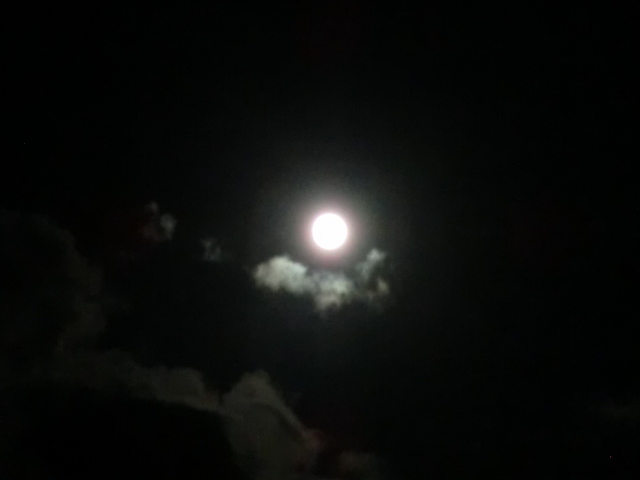 001 (640x480).jpg