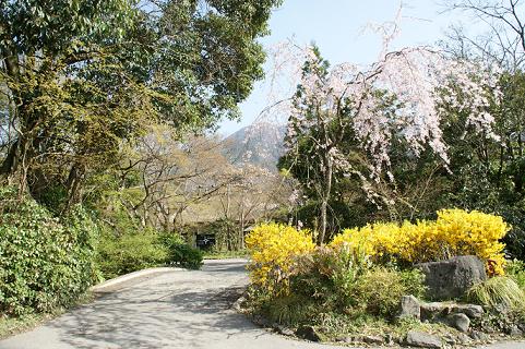 DSC00932 - コピー.JPG