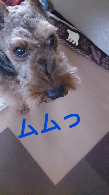 アップ (360x640).jpg