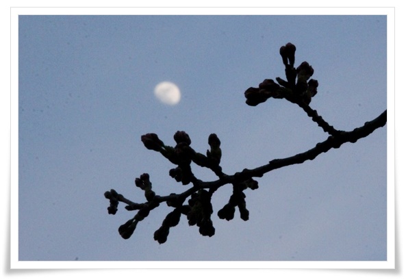 金沢地方気象台-7 15.3.31