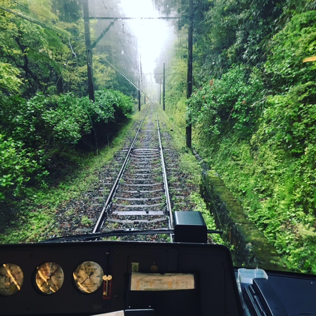 登山鉄道３.JPG