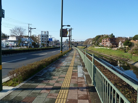 2013.3.26 023.JPG