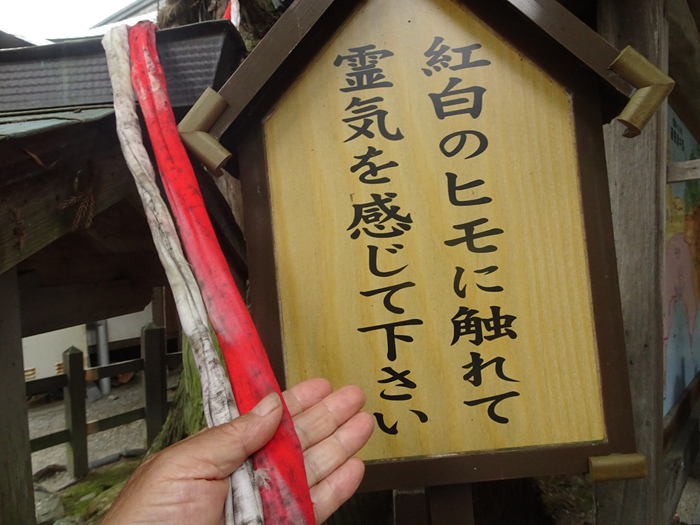 DSC01848_R.JPG
