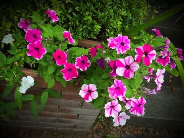 rblog-20150728202710-01.jpg