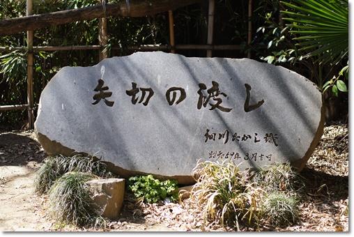 DSC00227.JPG