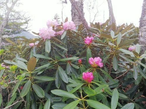 rblog-20180602183825-01.jpg