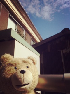 ted