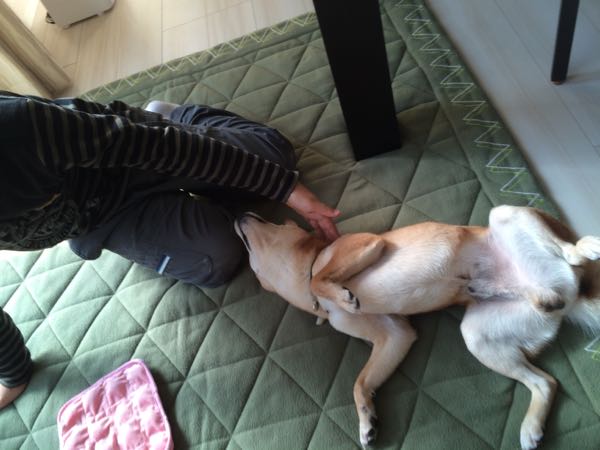 rblog-20160210174013-02.jpg