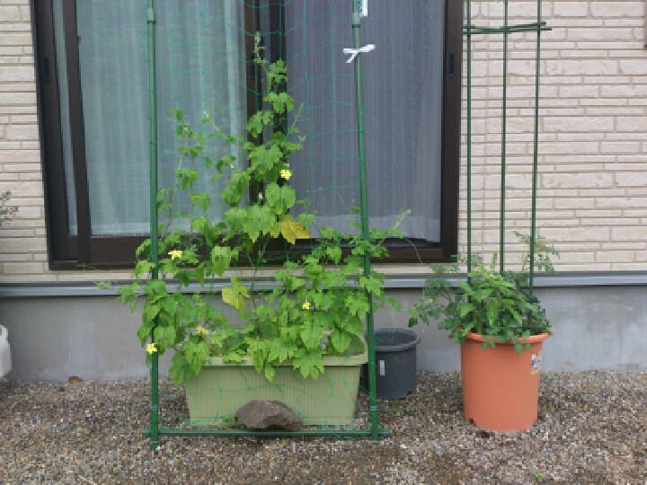 resizeman_20120705223018.jpg
