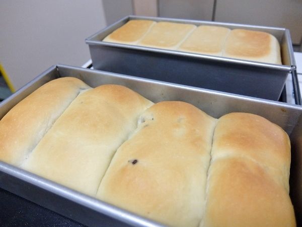 生食パン 乃が美 手こね 手作り パン 製パン ホーム