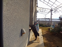父ﾀﾝの部屋